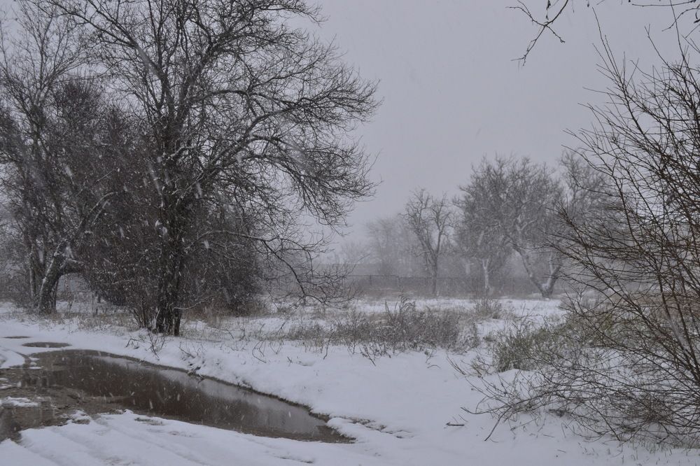 Photograph by Остапчук Ольга