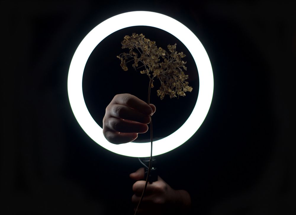 Photograph by Derevyanko Olga