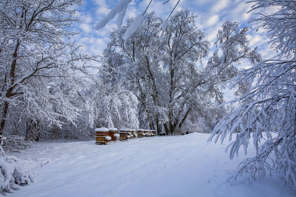 Photograph by Aleksandr