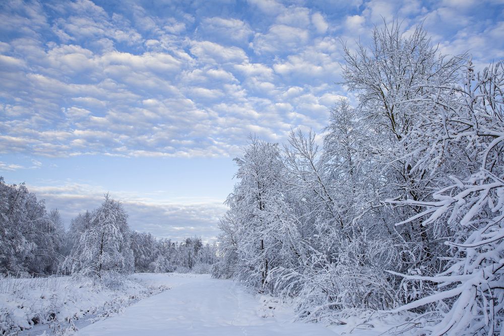 Photograph by Aleksandr