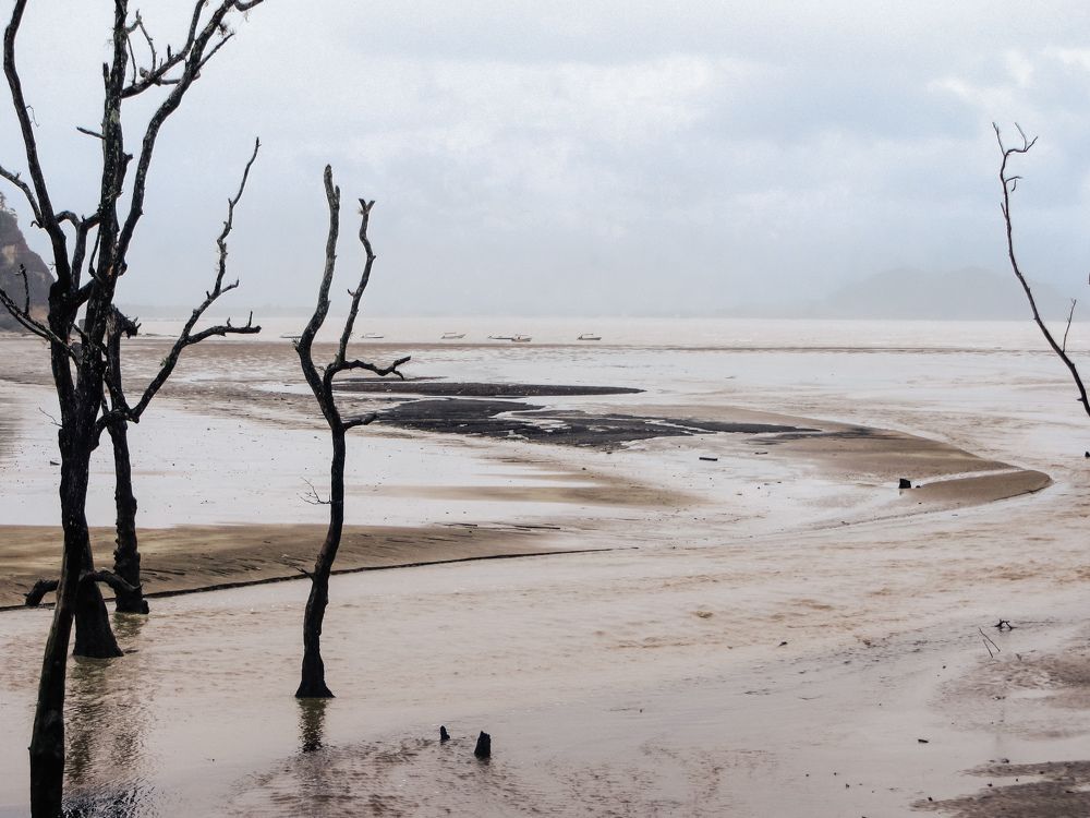 Photograph by Marina Pchelintseva