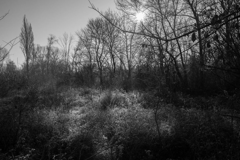 Photograph by Milos Andjusic