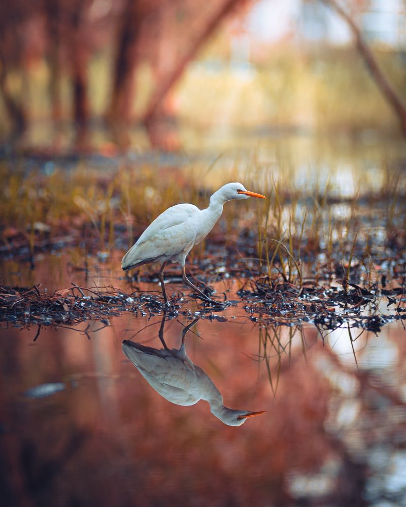 Photograph by Artur Seithalilov