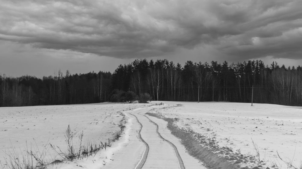 Photograph by Владислав Шигера