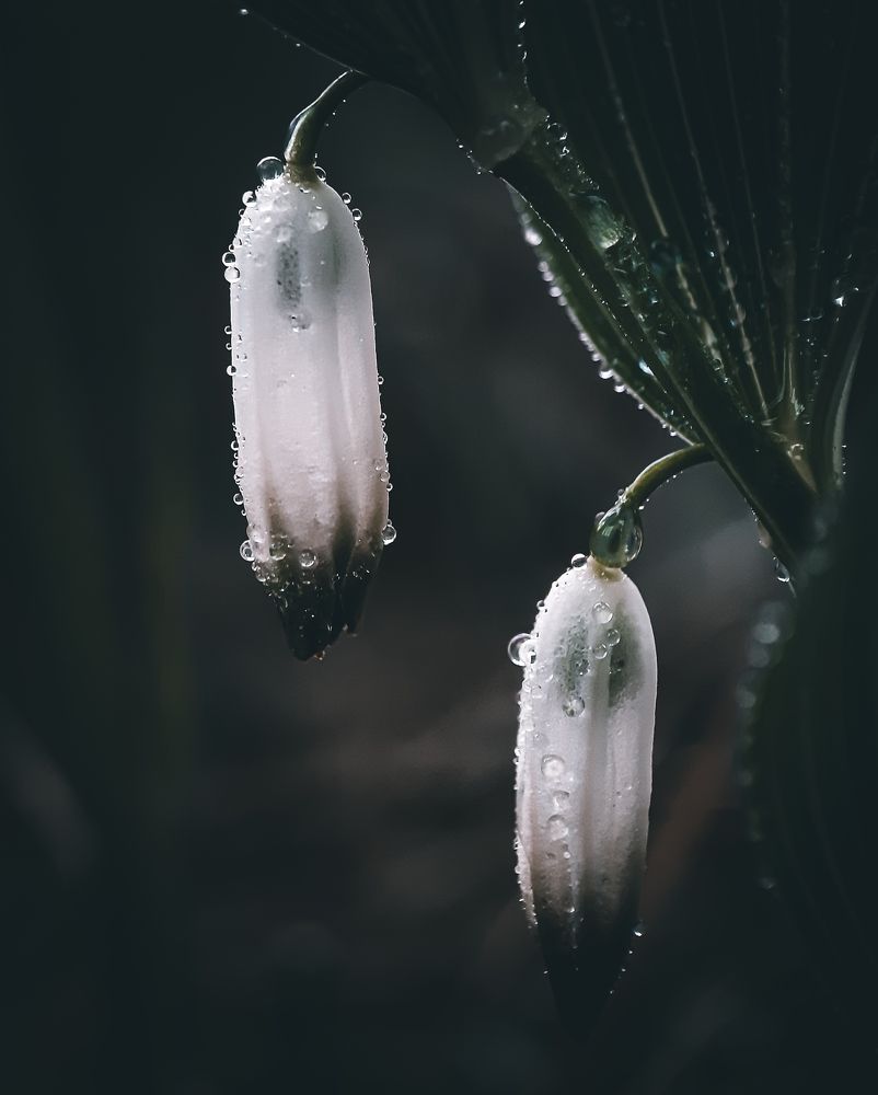 Photograph by Юлия Быкова