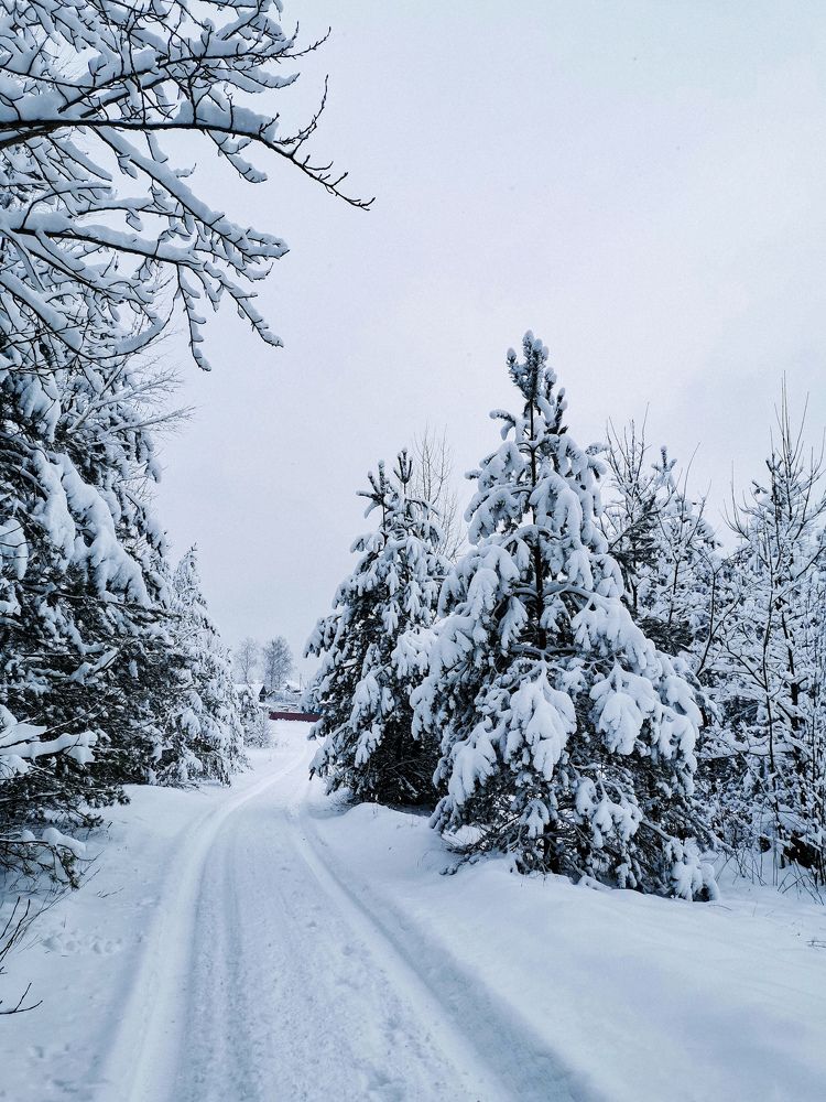 Photograph by Влад Мурин