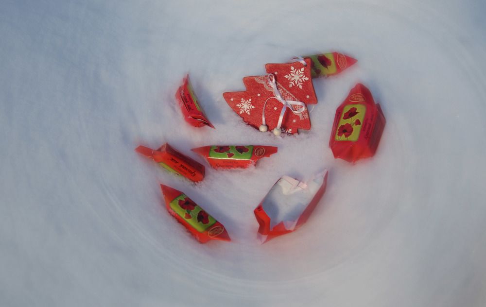 Пляска зимних маков