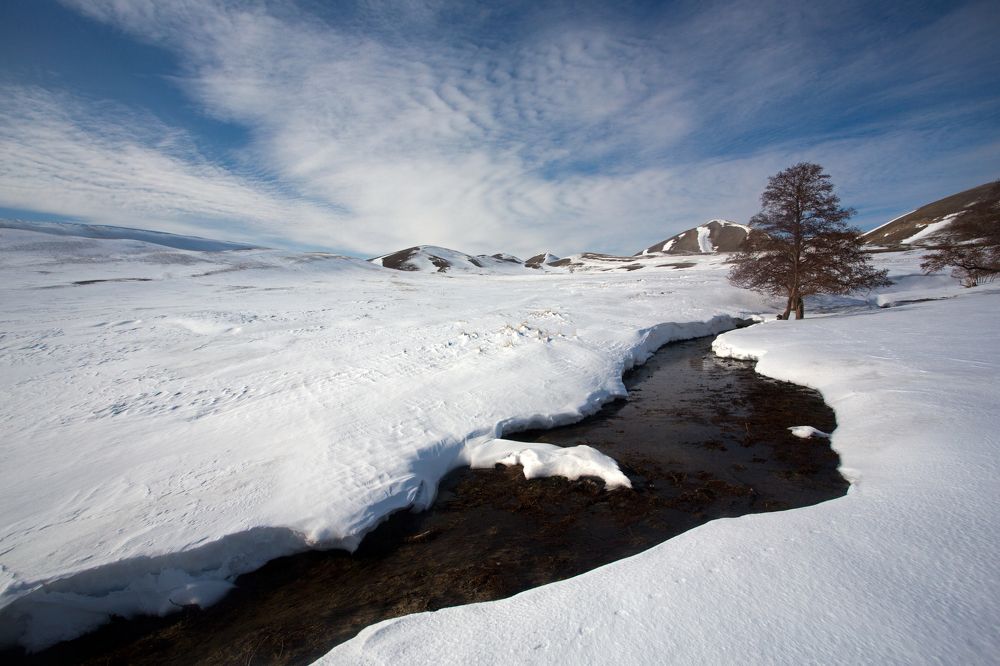 Фотография автора Олег Грачёв