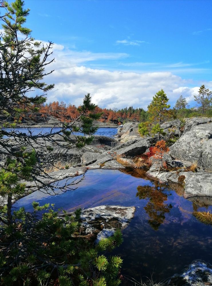 Photograph by Марцева Татьяна