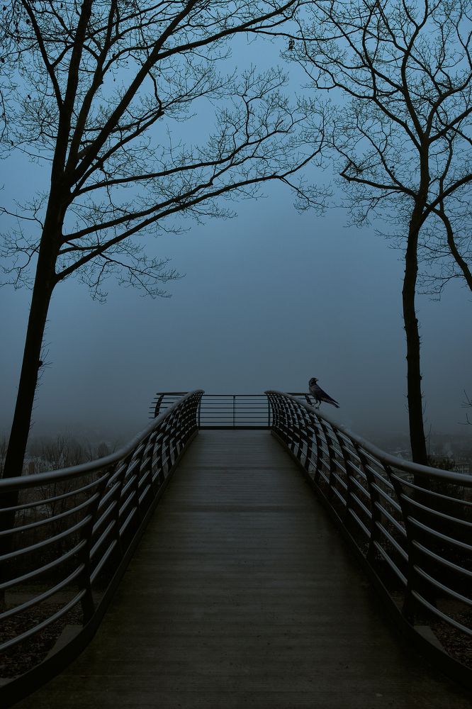 Photograph by Werner Enns