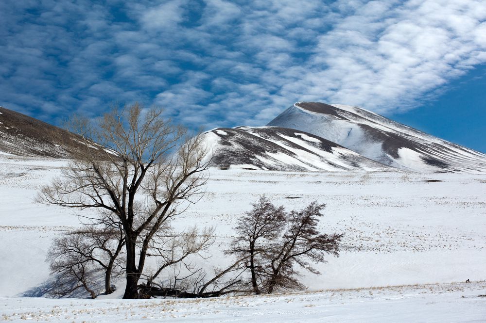 Фотография автора Олег Грачёв