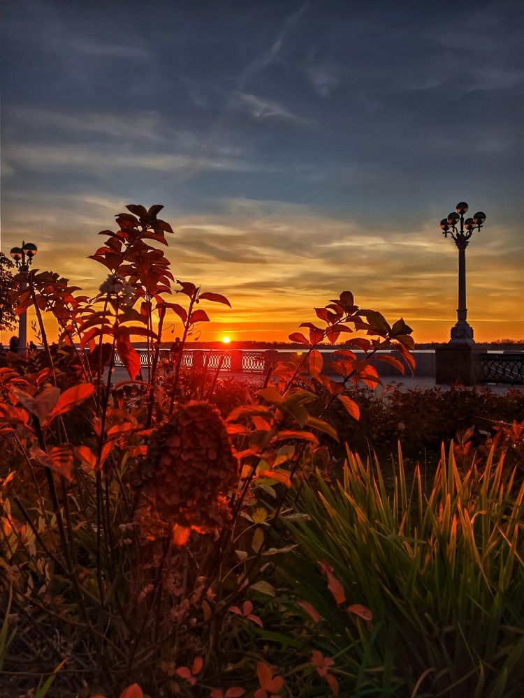 Photograph by Elena Bogomolova