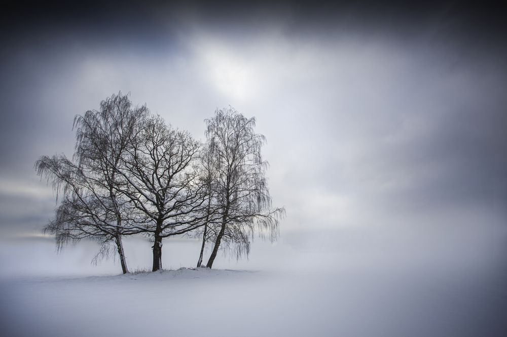 Photograph by Aleksandr