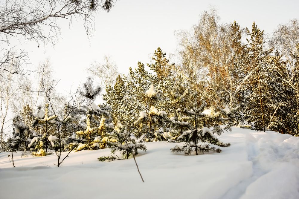 Февраль солнечный