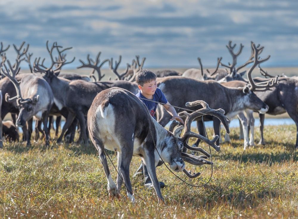 Укрощение строптивого