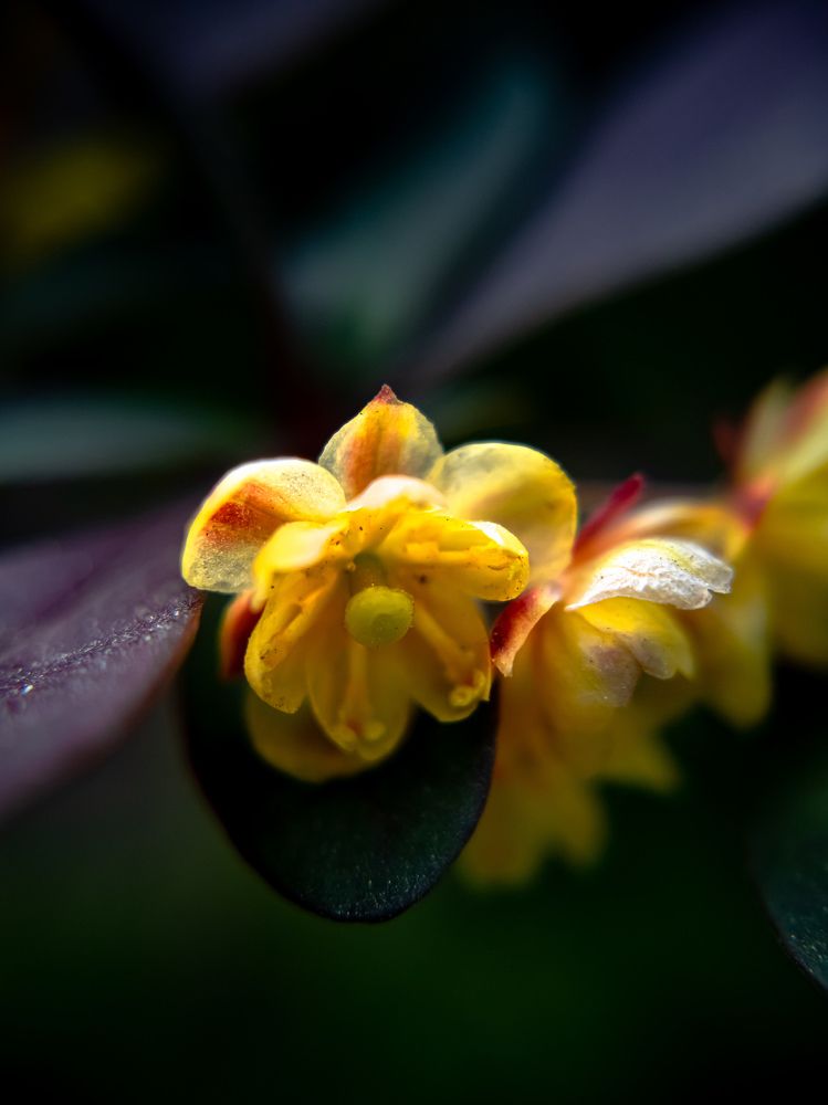 Photograph by Александр Безуглый