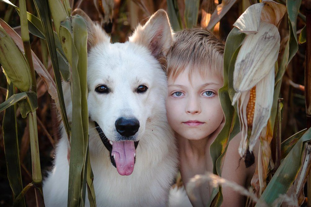 Photograph by Валерия Гончарова-Горобченко