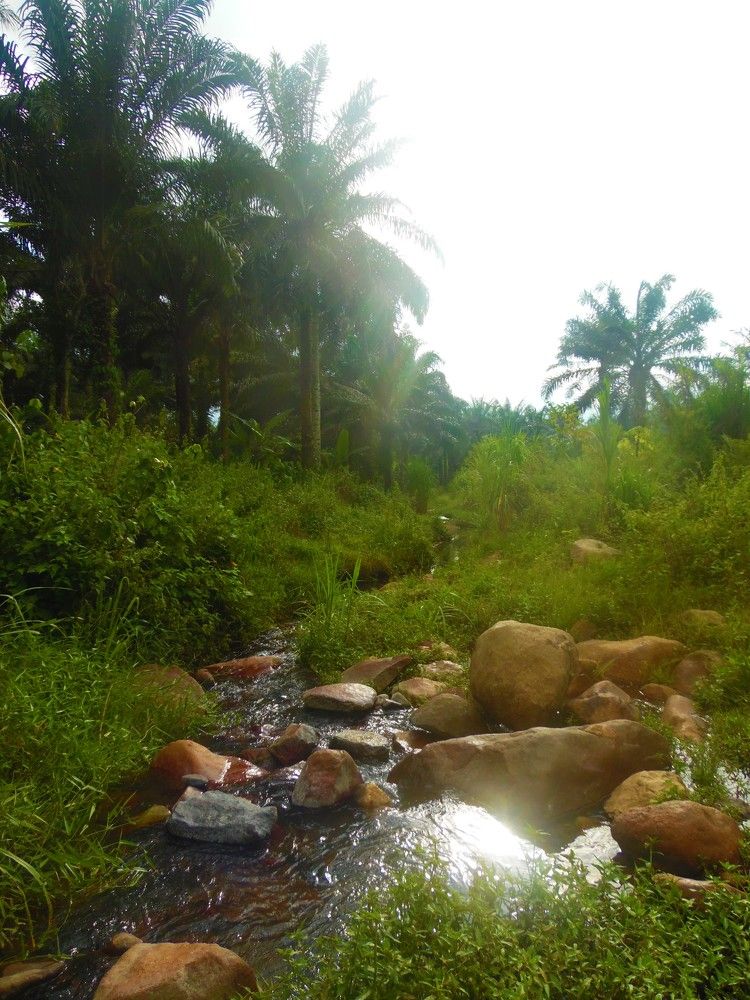 Photo #7145069