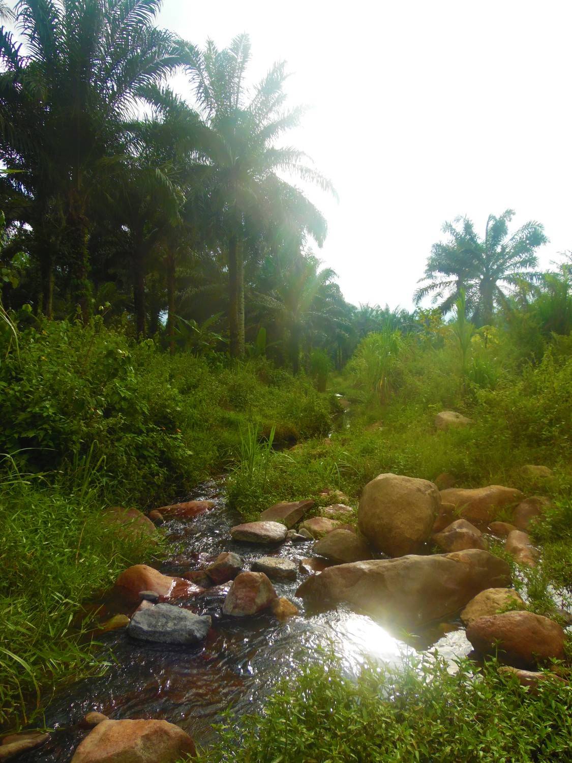 Photo #7145069