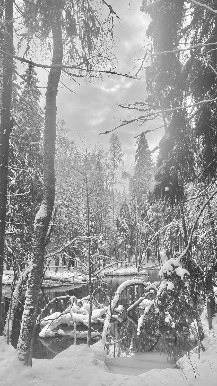 Photo #7145080