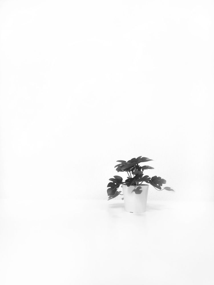 Photograph by Darya Вега