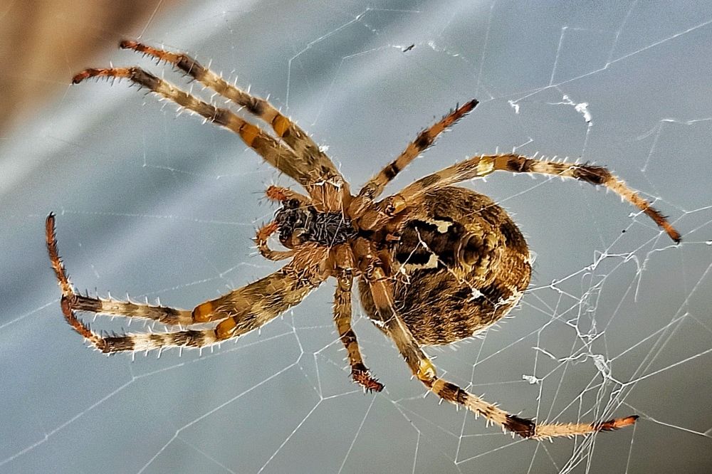 Photograph by Сергей Жигульский