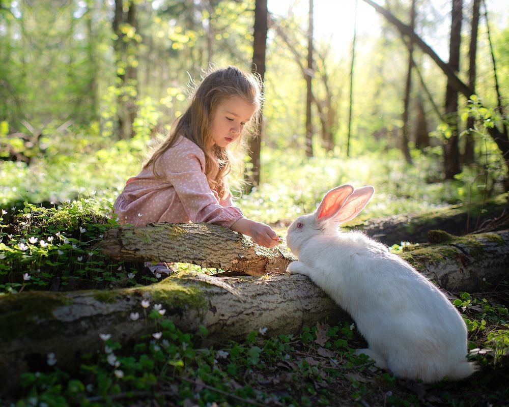 Photograph by Ольга Васильева