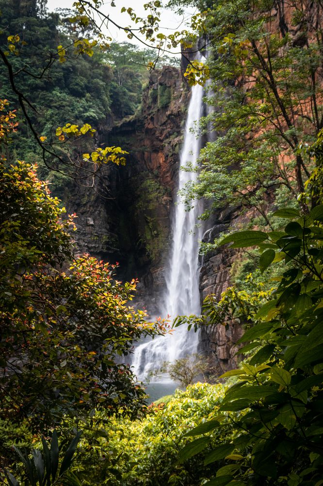 Photograph by Ashen Nanneththi