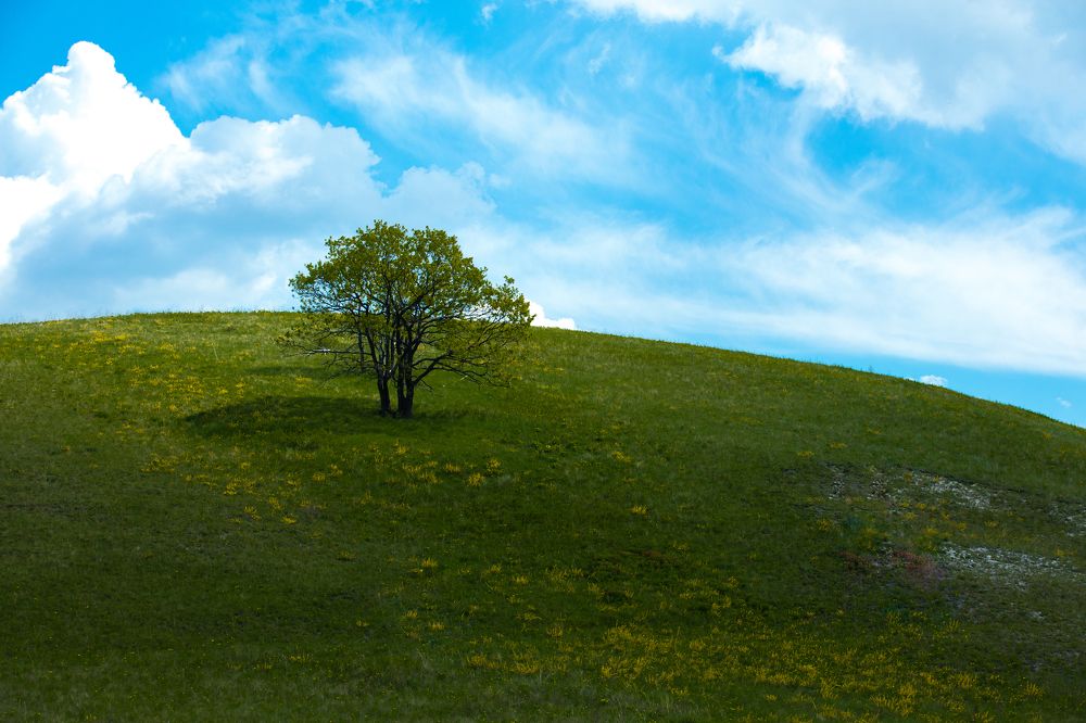 Фотография автора Георгий