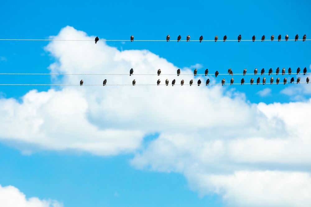 Фотография автора Георгий