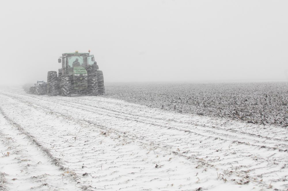 Фотография автора Георгий