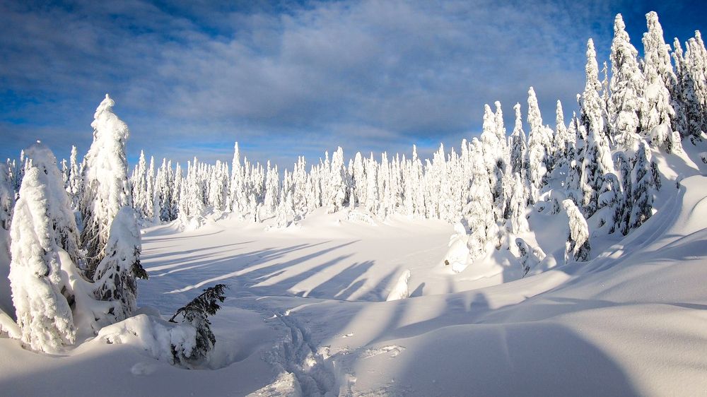 Photograph by Alexander Efimenko