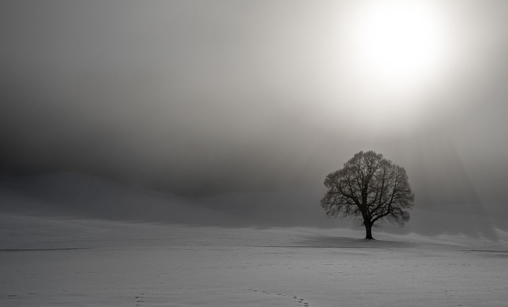 Photograph by Анастасия Французова