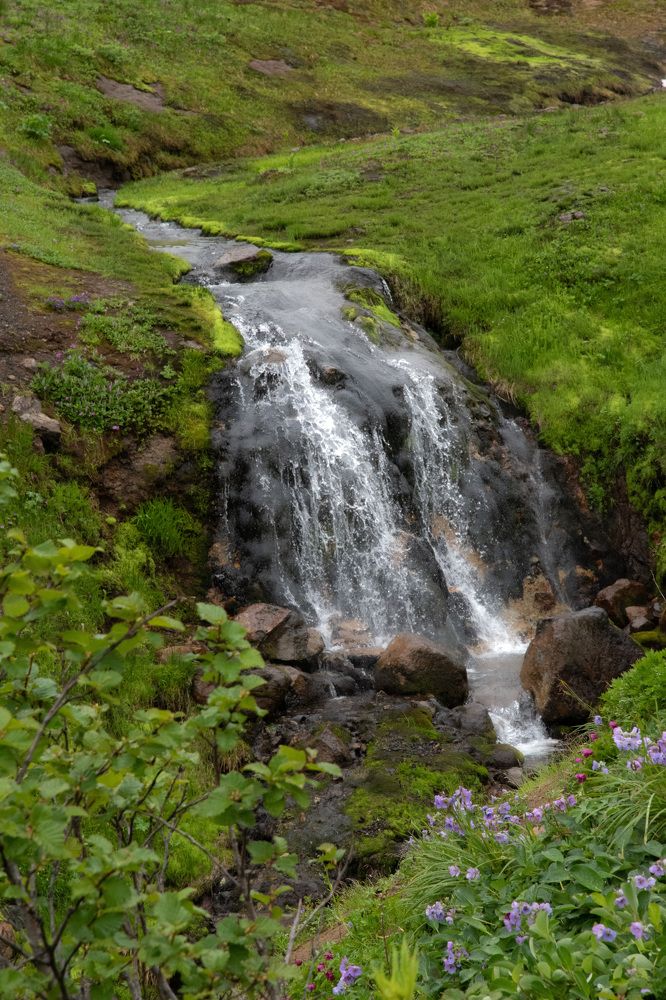 Фотография автора Мария Рохмистрова