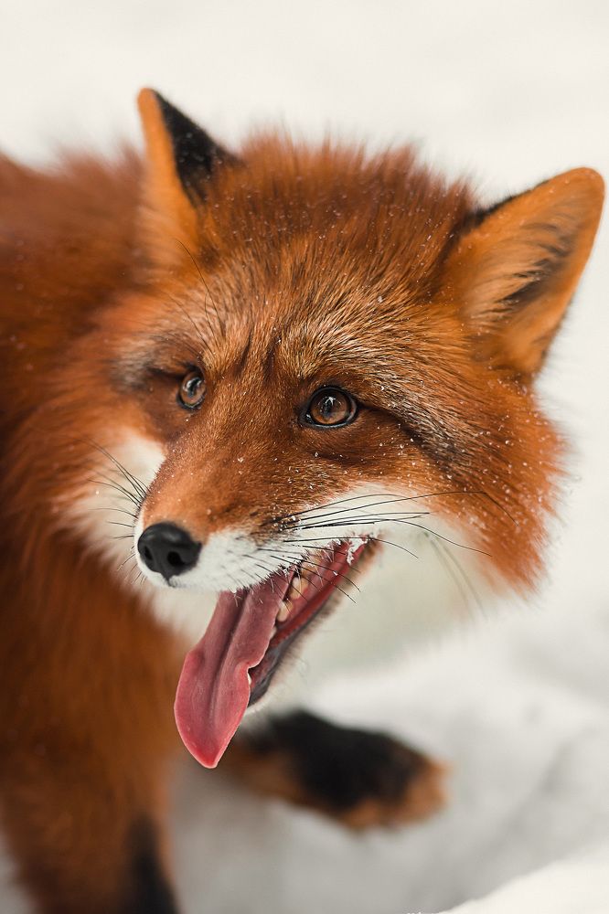 Photograph by Алена Зотова