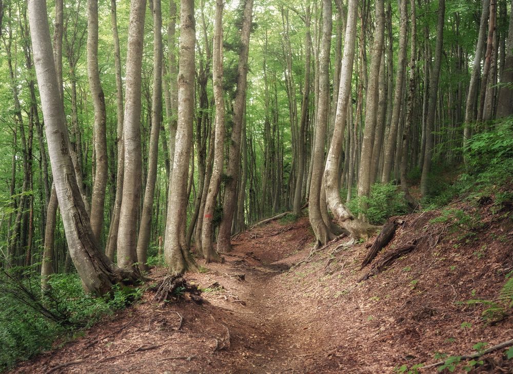 Photograph by Мозжухин Максим