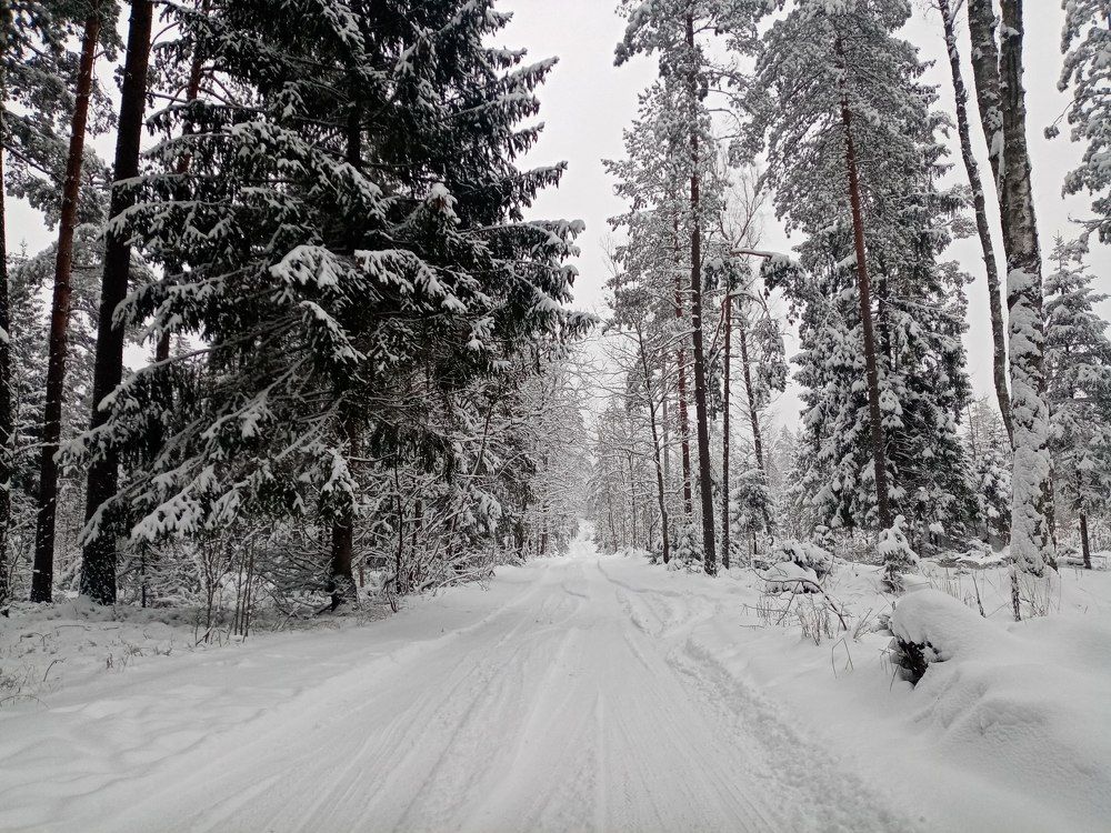 Photograph by Veronica Kravchonok