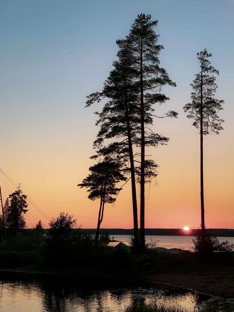 Photograph by Александра Некрасова
