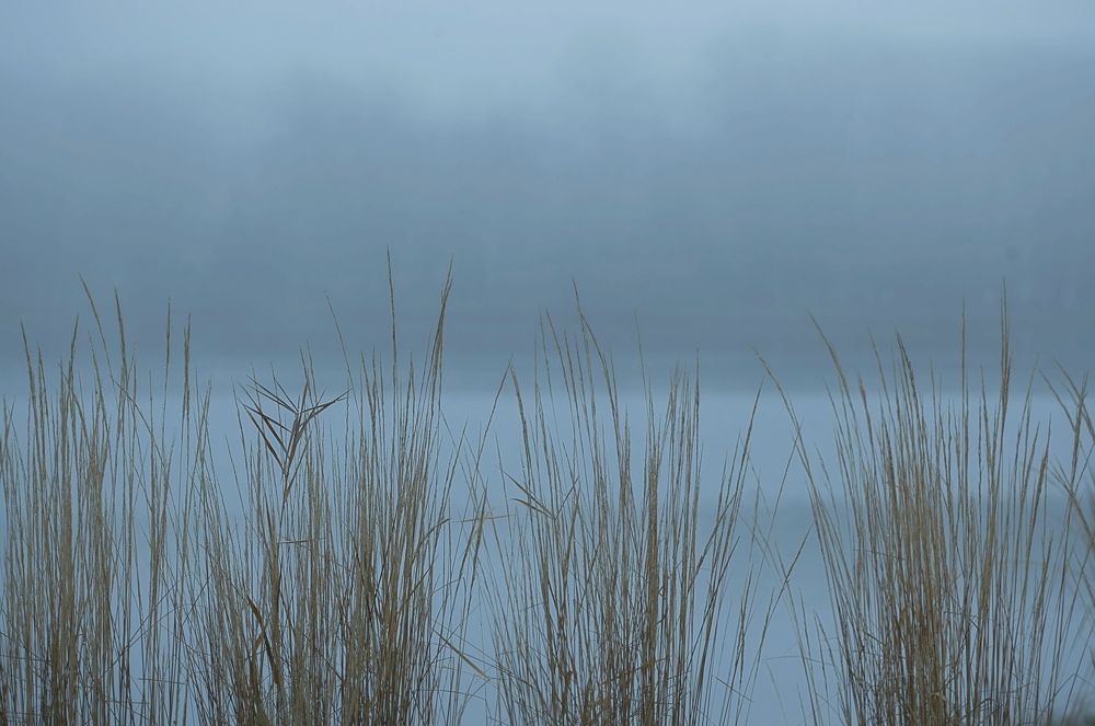 Фотография автора Alena Makushina