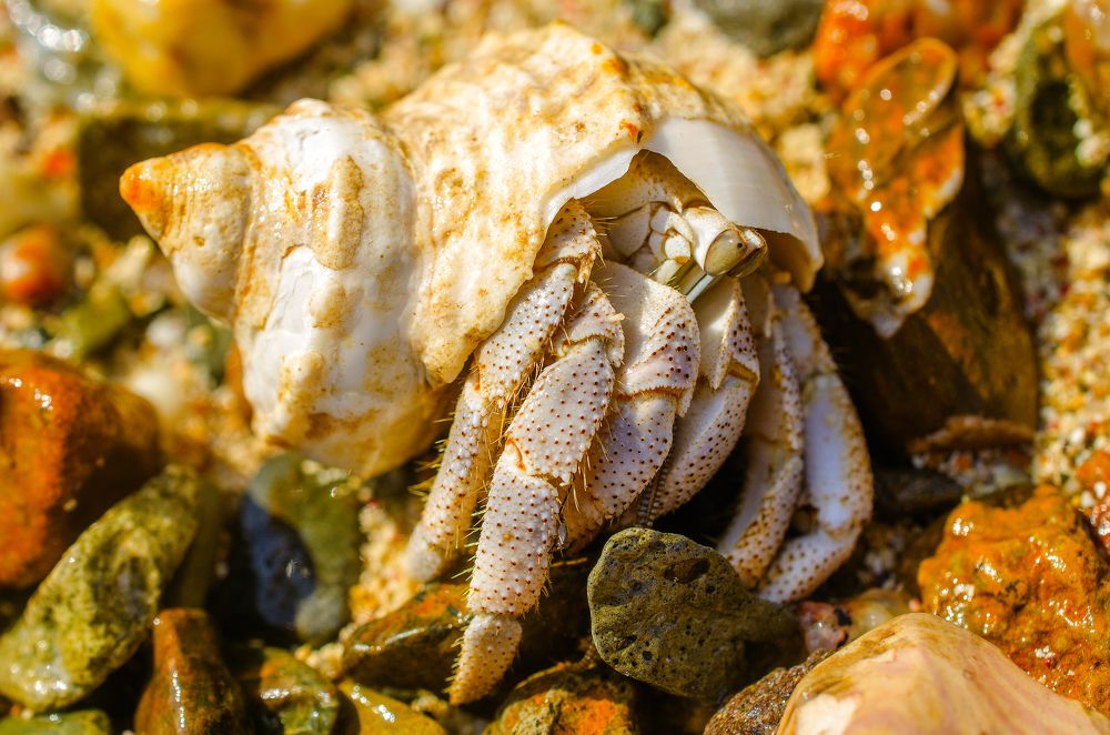 Photograph by Евгений Каримов