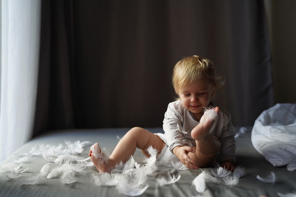 Пернатое чудо