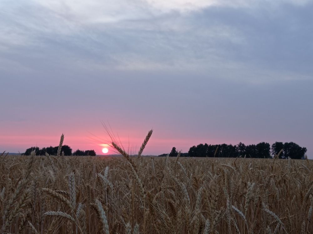 Photograph by Наталья Стальмакова