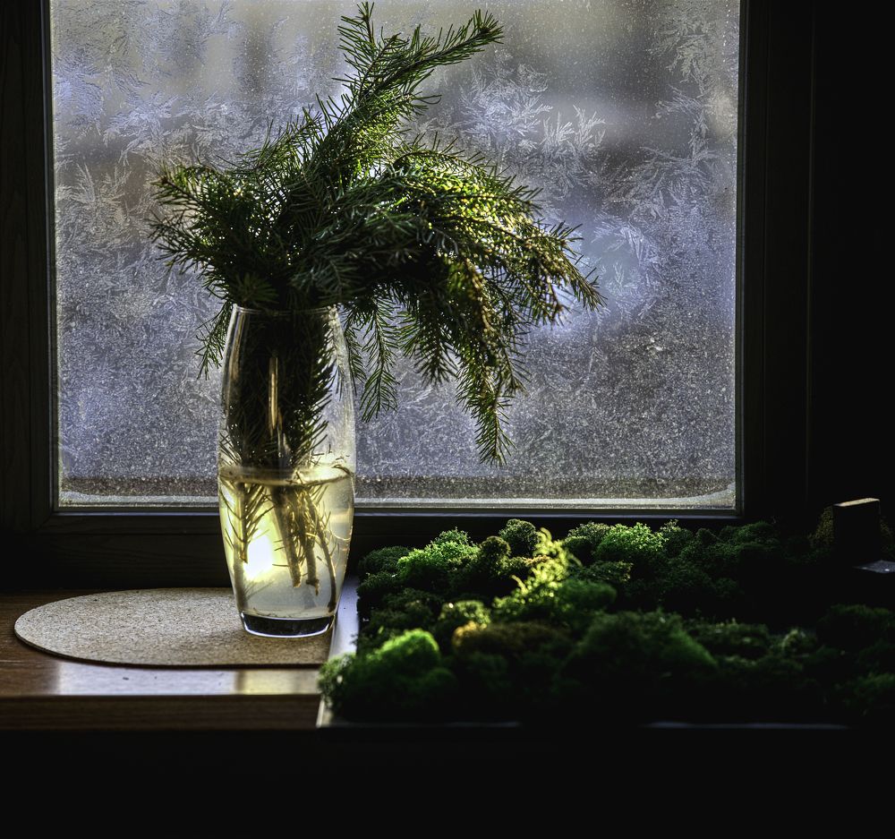 Photograph by Слава Ольшевская