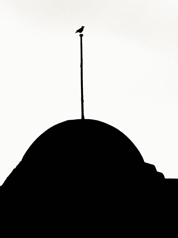 Photograph by Shuaib