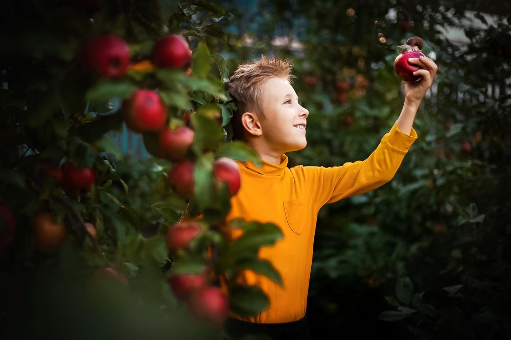 Фотография автора Елена Ходус