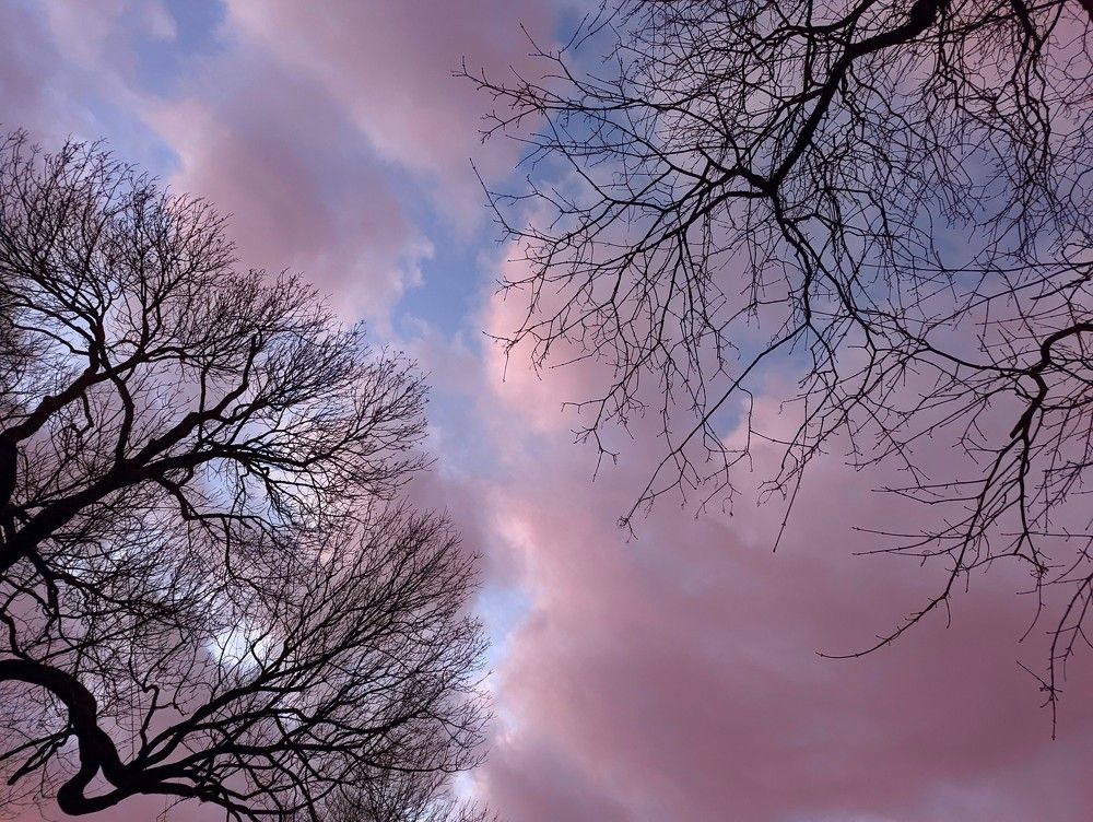 Photograph by Nika Rodionova