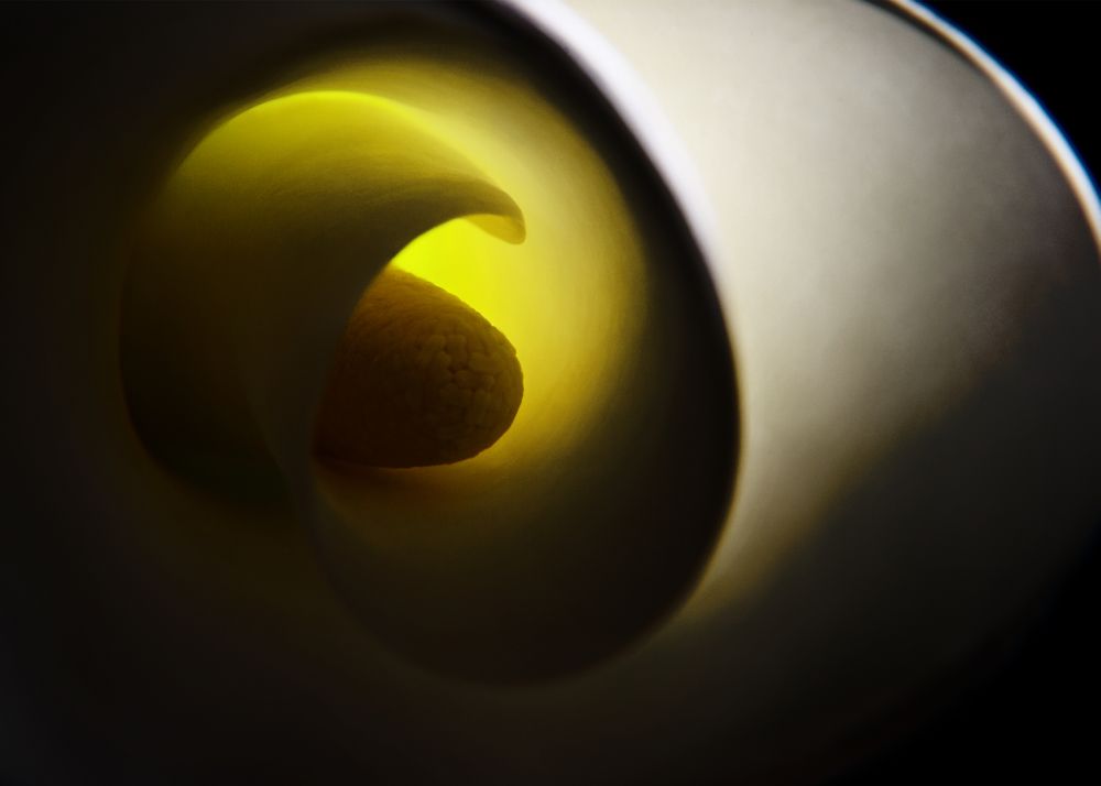 Photograph by Aleksei Kazakov