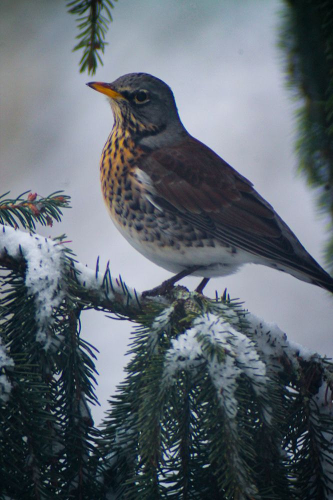 Photograph by Марина Кравцова