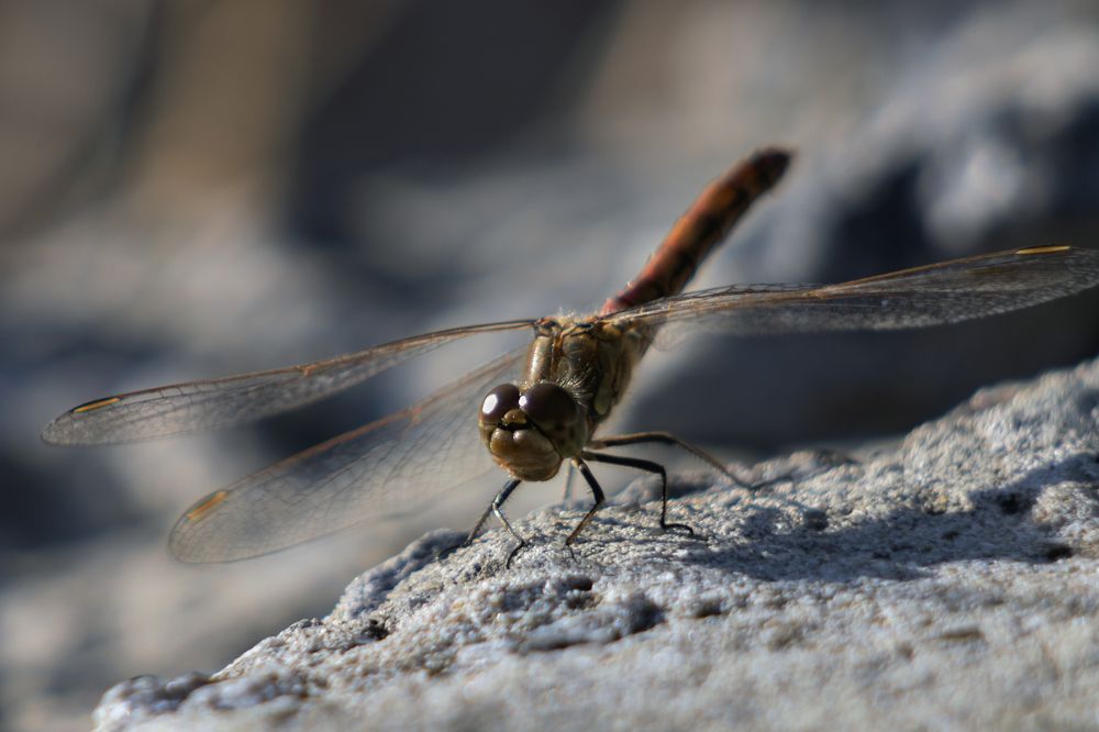 Photograph by Марина