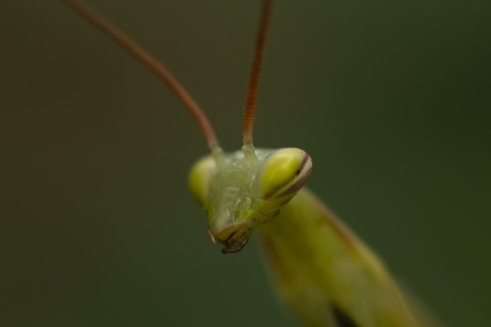 Photograph by Марина